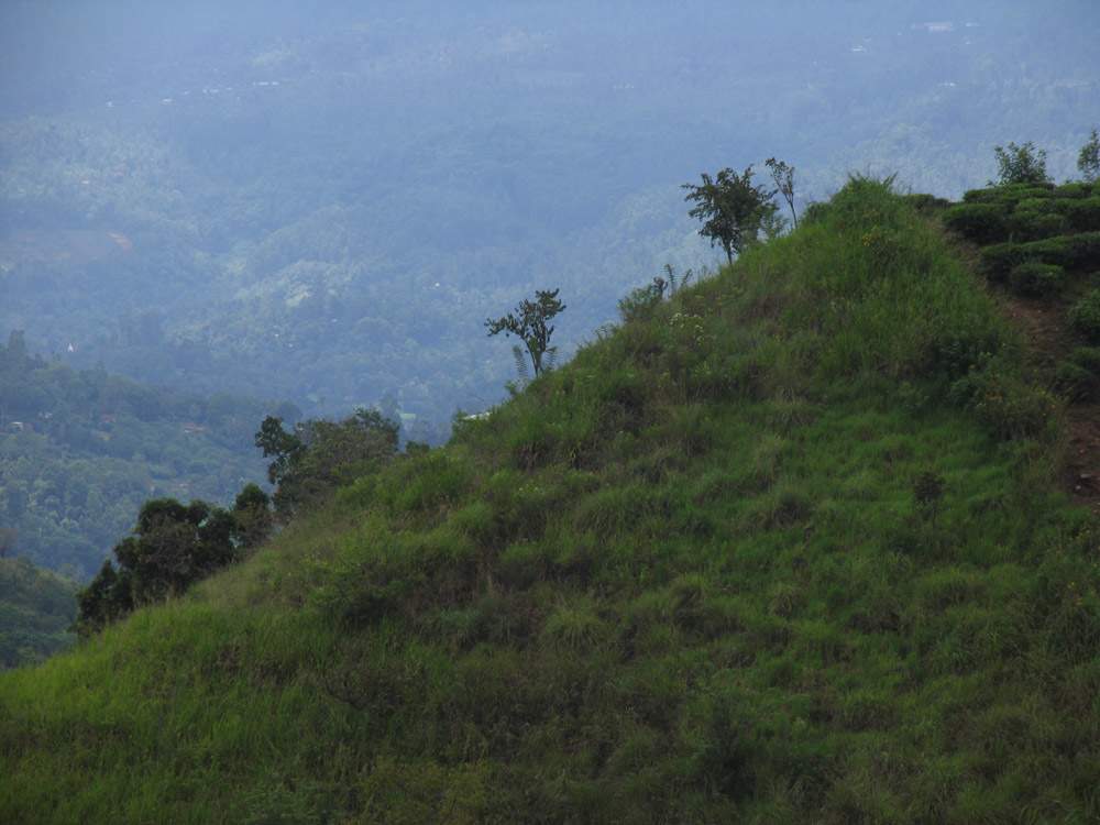 Шри Ланка (Sri Lanka)