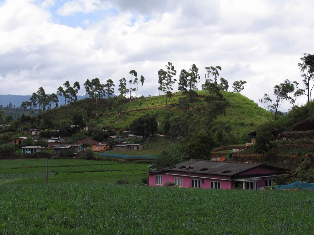 Шри Ланка (Sri Lanka)