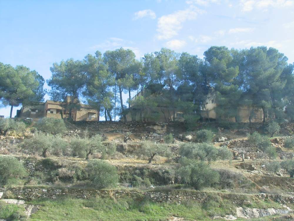 Палестина - Наблус (Palestine - Nablus)