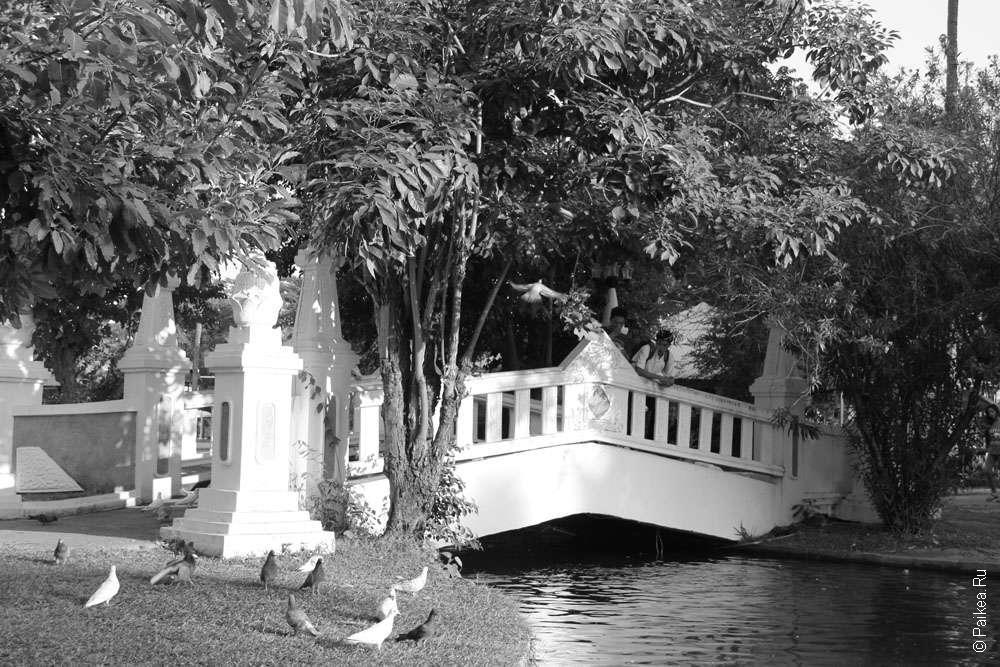 Таиланд - Чианг Май (Thailand - Chiang Mai)