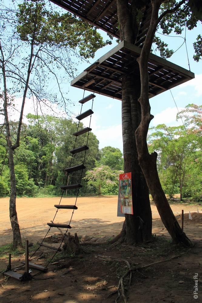 Лаос - Паксе - Достопримечательности за городом (Laos - Pakse - Off the city attractions)