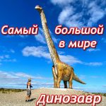 самый большой в мире динозавр