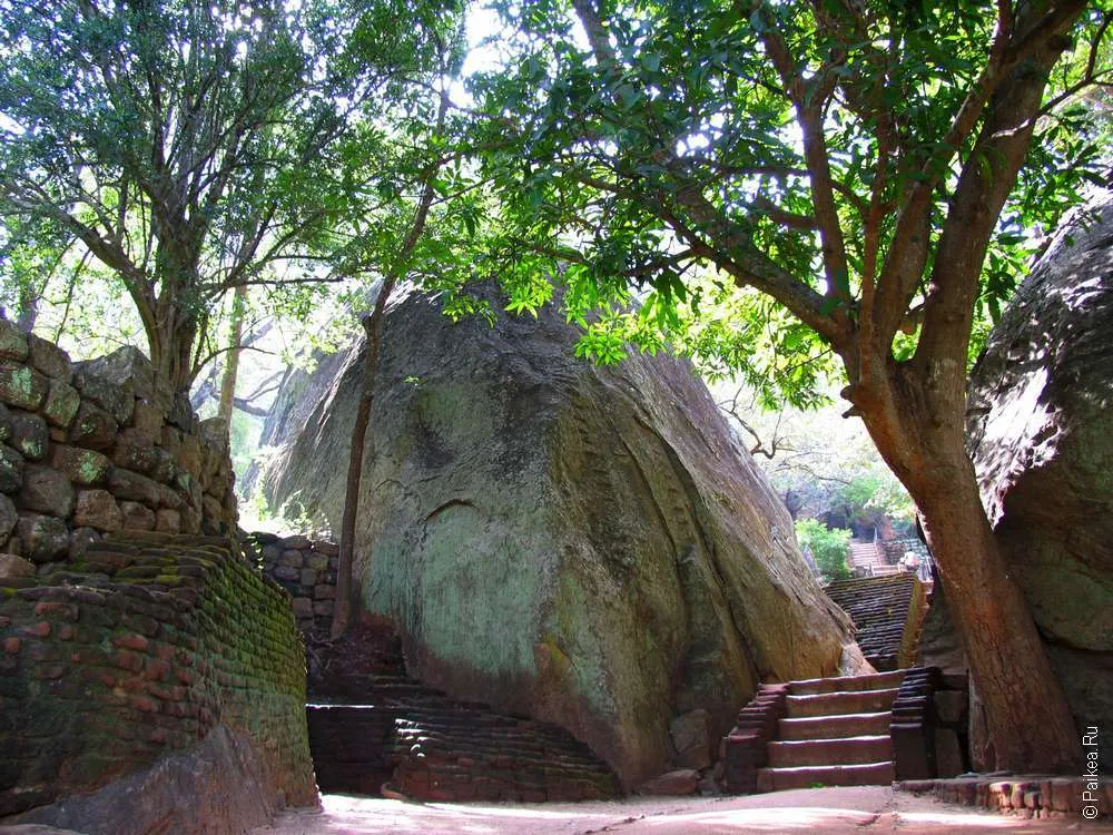 Террасный парк Sigiriya