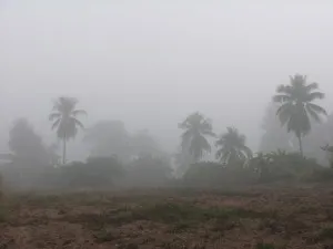 Таиланд - Ли (Thailand - Li)