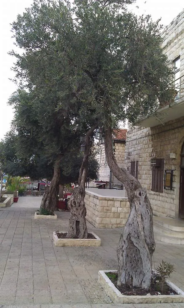 Израиль - Хайфа (Israel - Haifa)