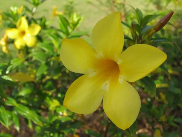Таиланд - Пай (Thailand - Pai)