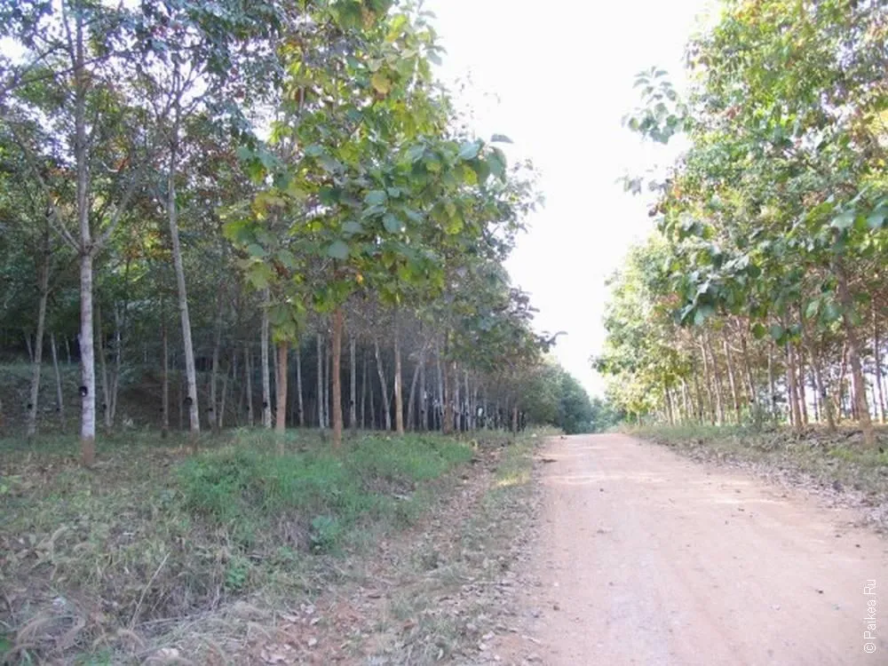 Таиланд - Пай (Thailand - Pai)