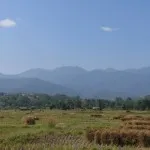 Мэ Хи (Mae Hee)
