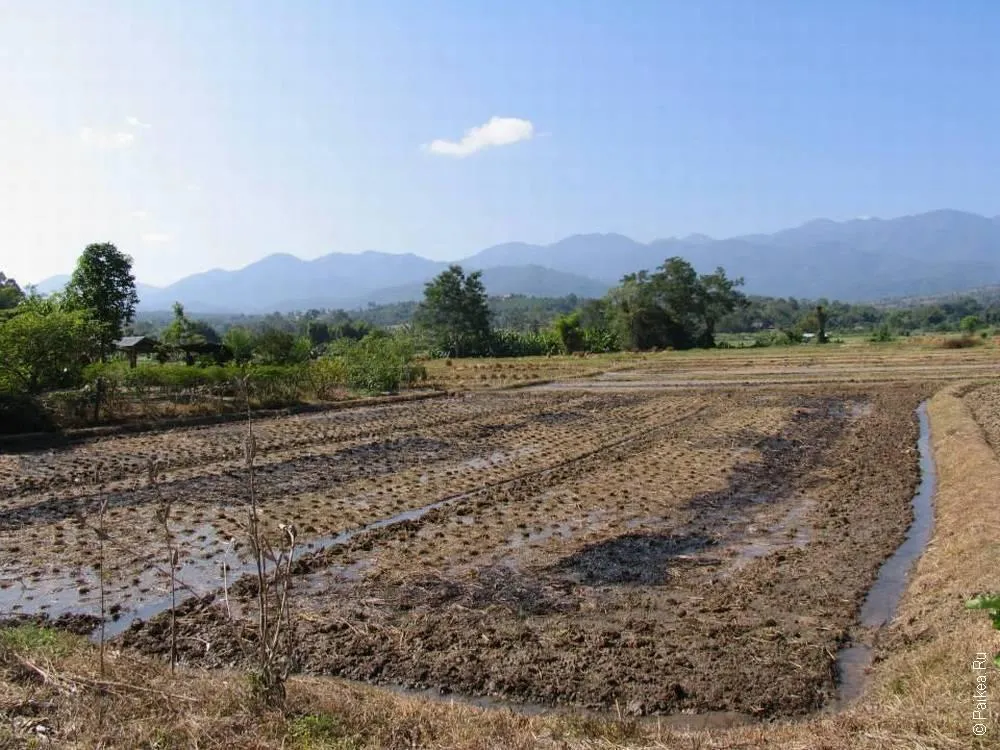 Таиланд - Пай (Thailand - Pai)