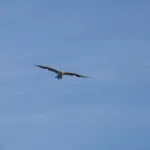 IMG_004373