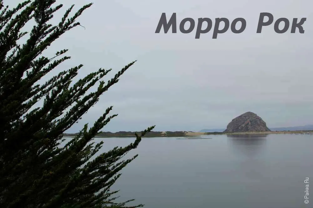 Морро Рок (Morro Rock)