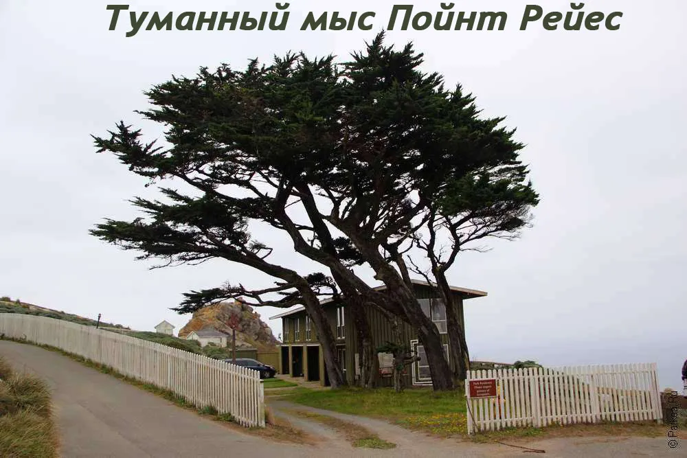 Пойнт Рейес мыс