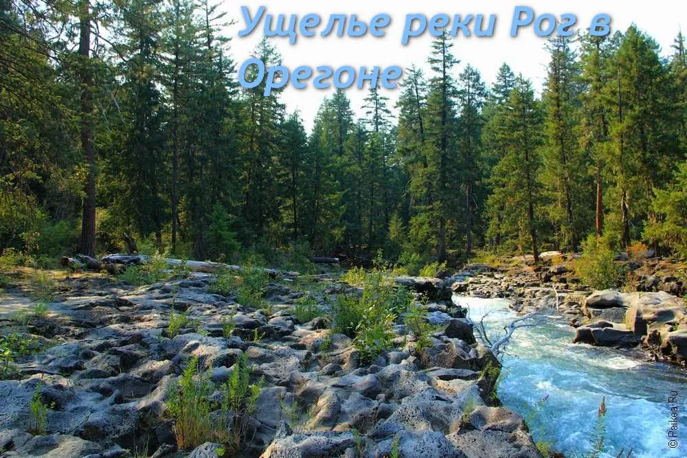 Река Рог США