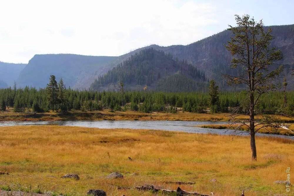 Река Мэдисон (Madison river)