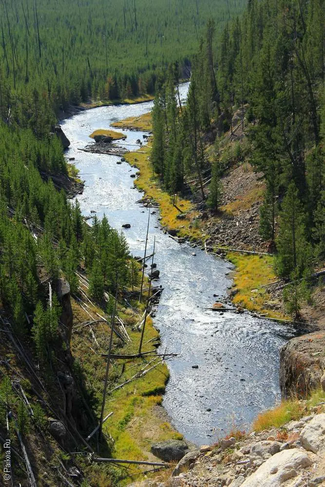 Река Гиббон (Gibbon River)