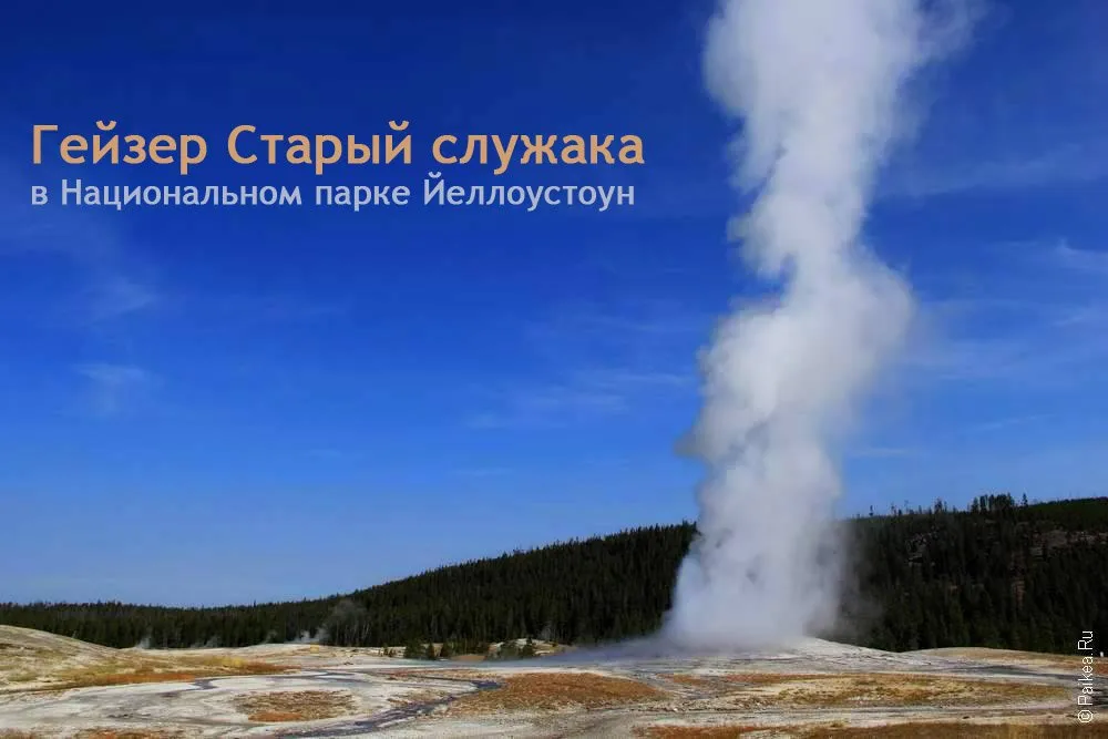 Гейзер Старый служака это