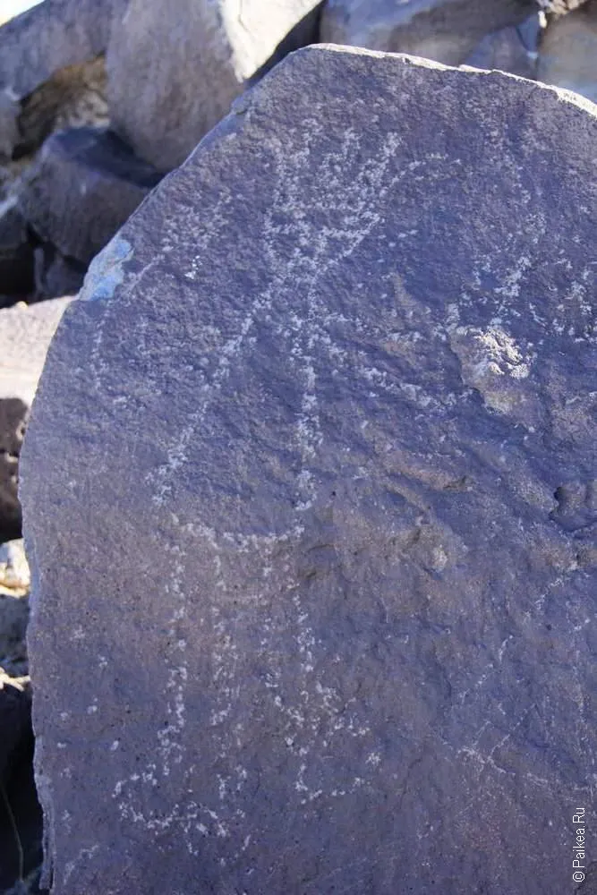 Петроглиф, США (Petroglyph, USA)