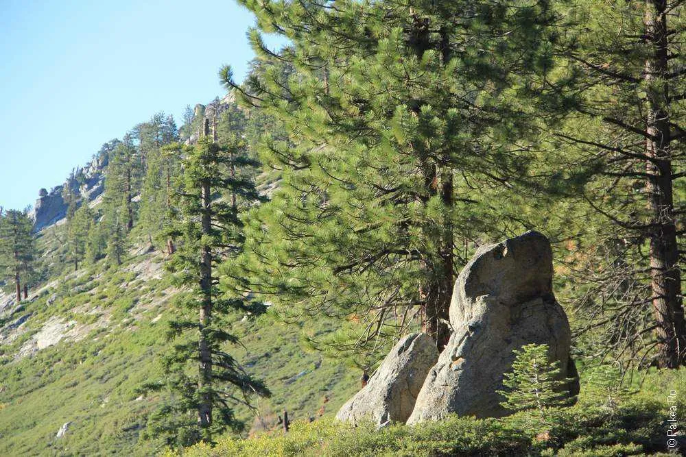 Йосемите, США (Yosemite, USA)