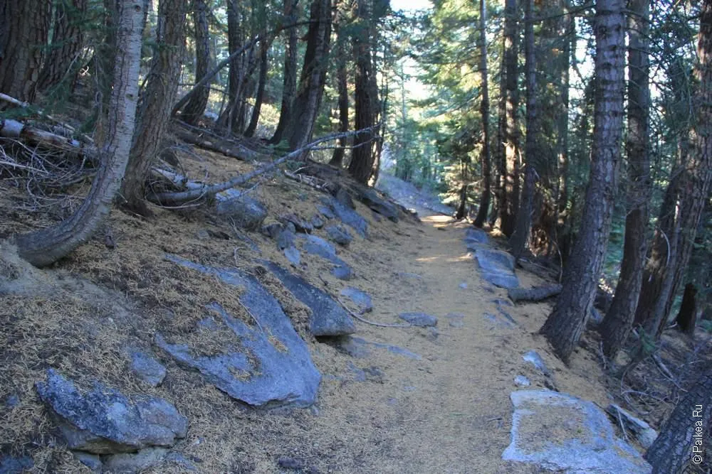 Йосемите, США (Yosemite, USA)