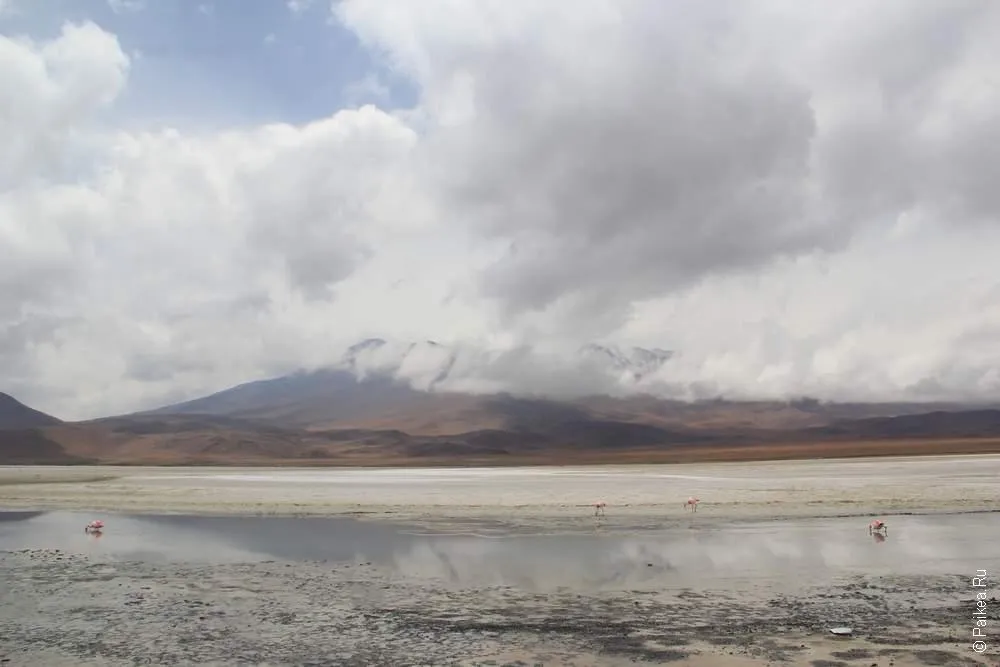 Альтиплано, Боливия (Altiplano, Bolivia)