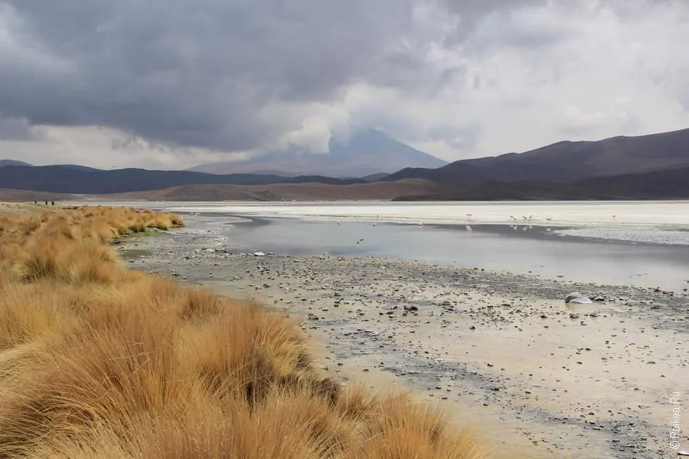 Альтиплано, Боливия (Altiplano, Bolivia)