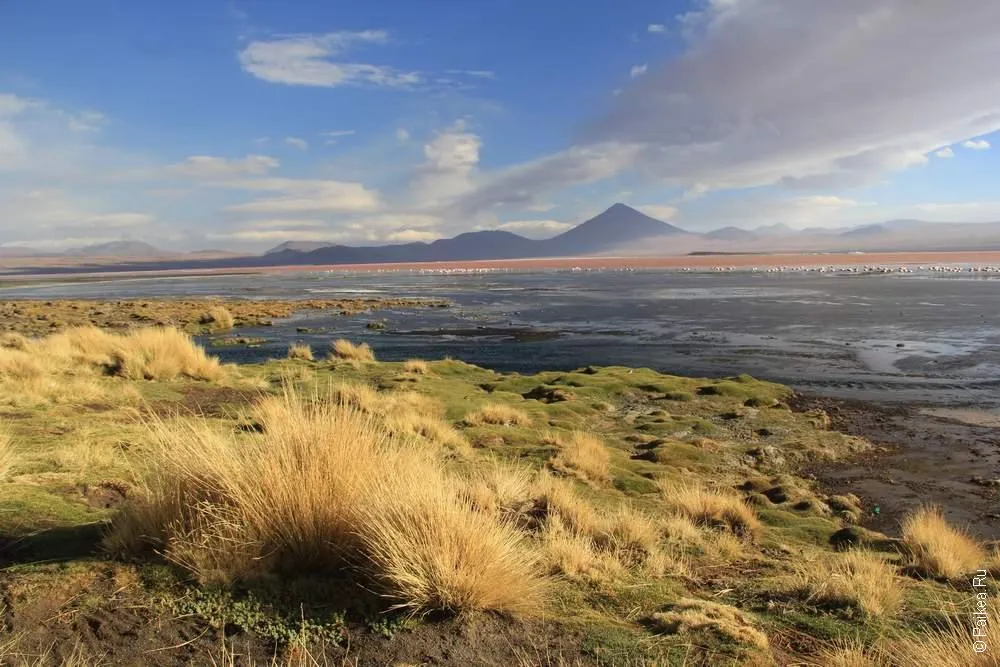 Альтиплано, Боливия (Altiplano, Bolivia)