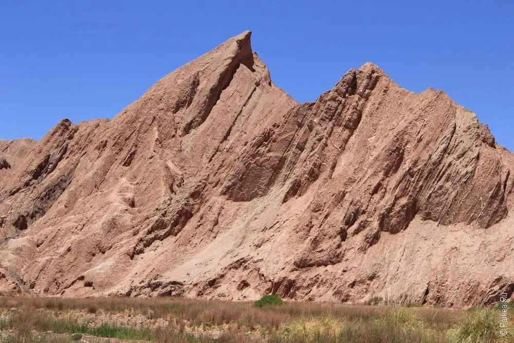 Альтос де Катарпе, Чили (Altos de catarpe, Chile)