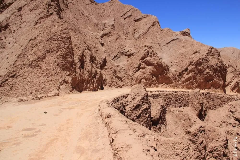 Альтос де Катарпе, Чили (Altos de catarpe, Chile)