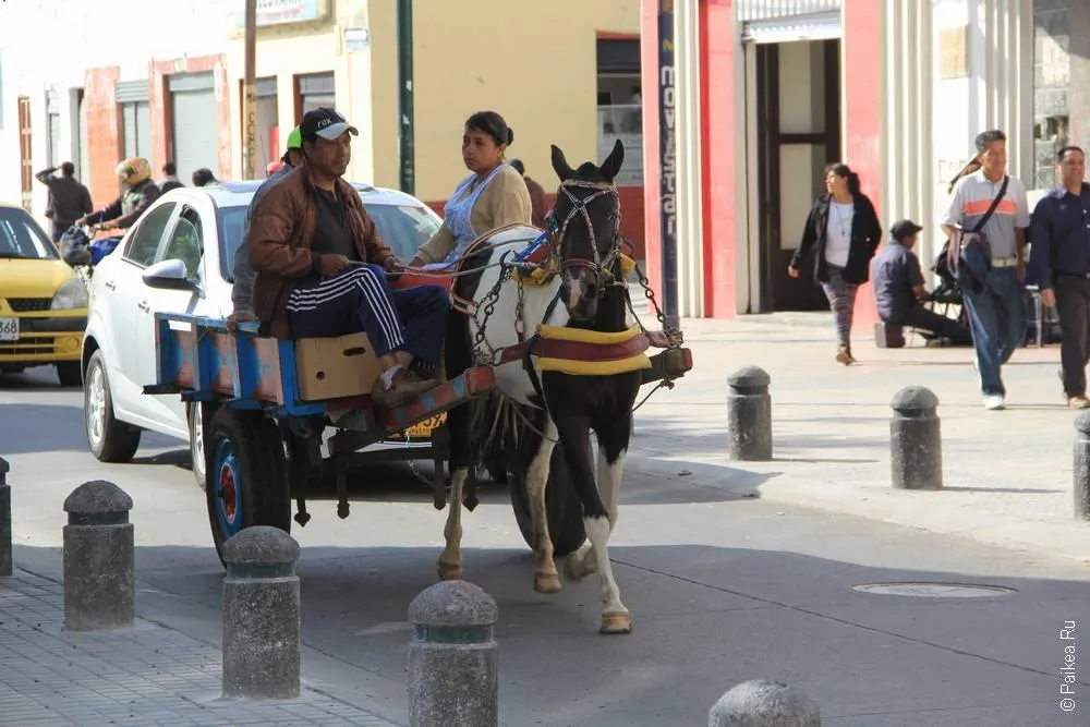 Пасто, Колумбия (Pasto, Colombia)