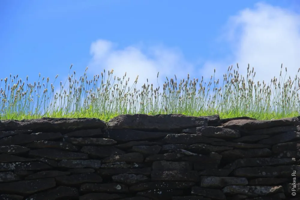 Оронго, Остров Пасхи (Easter Island)