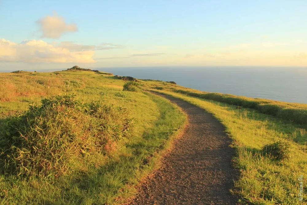 Оронго, Остров Пасхи (Easter Island)