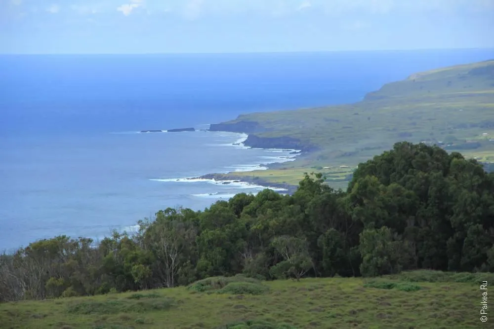 Оронго, Остров Пасхи (Easter Island)