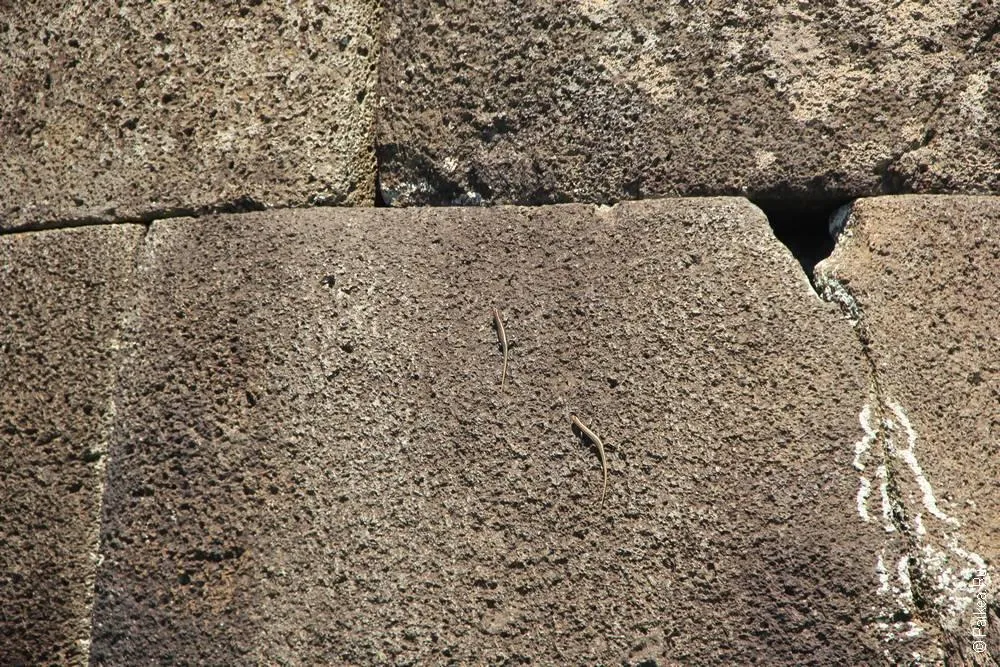 Винапу, Остров Пасхи (Vinapu, Easter island)