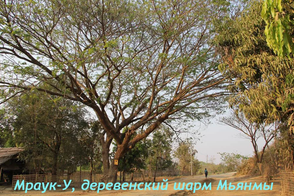 Мраук-У в Мьянме