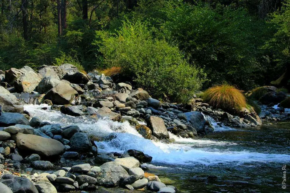 Небольшой порожек на ручье Ручей и водопад