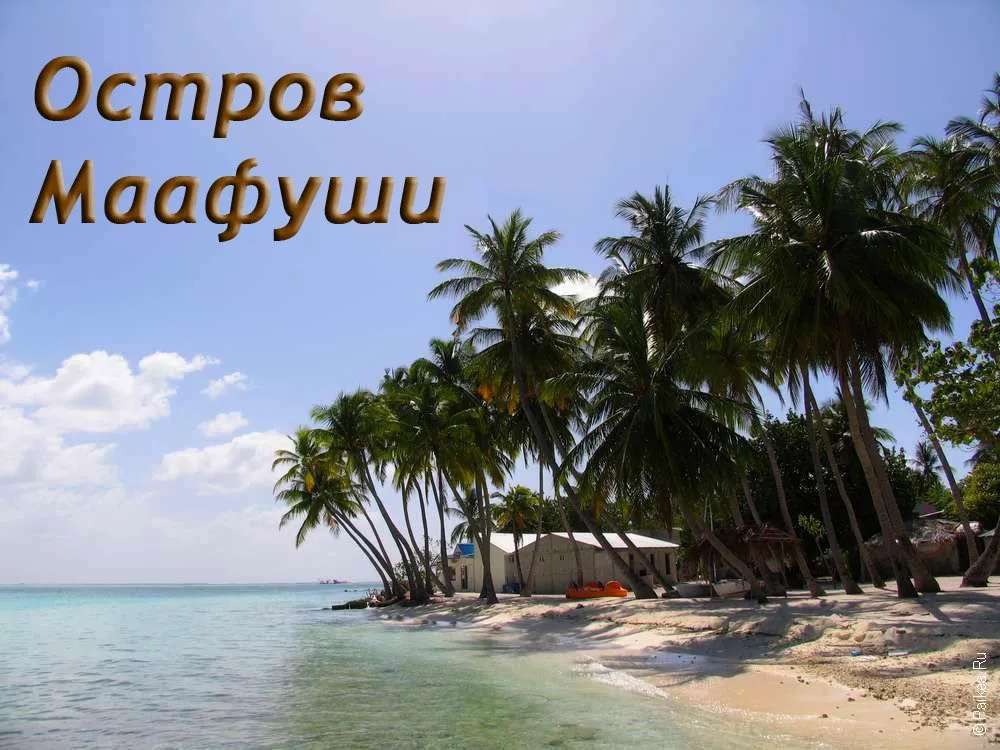 Маафуши на Мальдивах