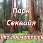 парк секвойя что посмотреть