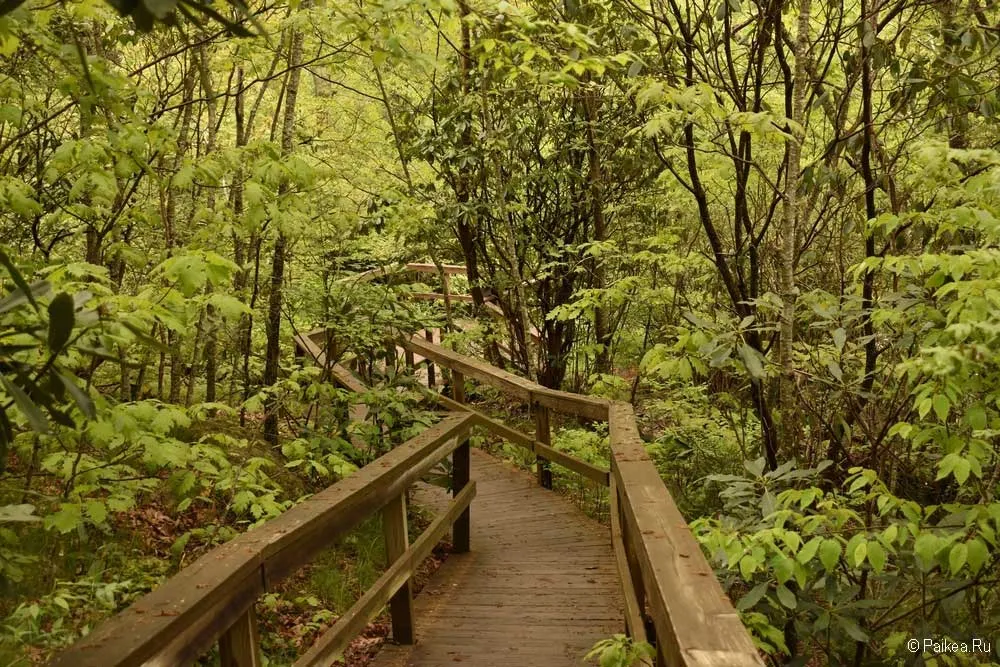 blue ridge parkway 11