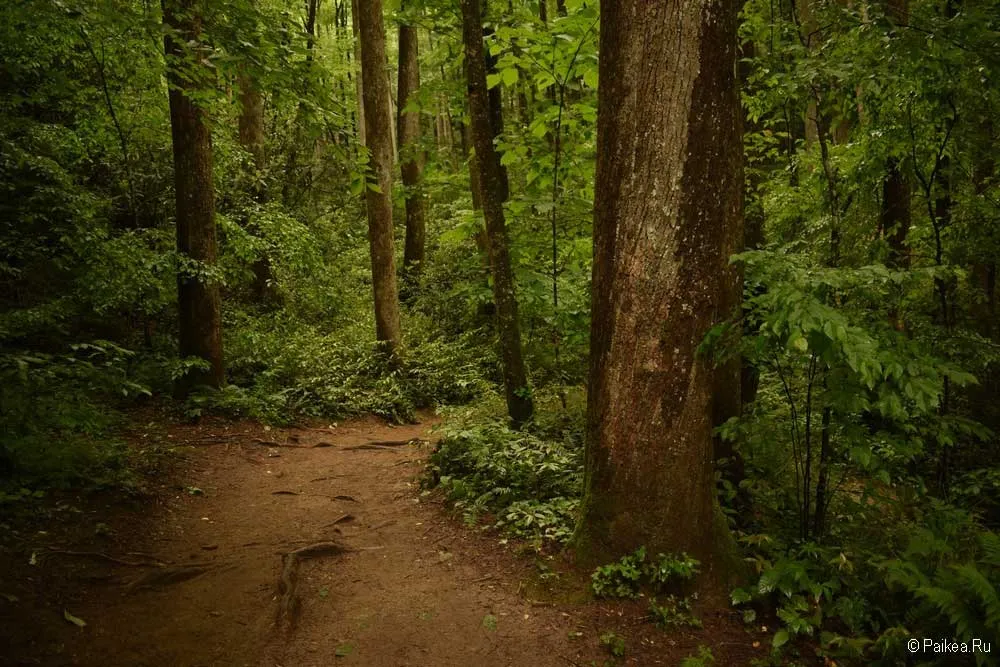 blue ridge parkway 15