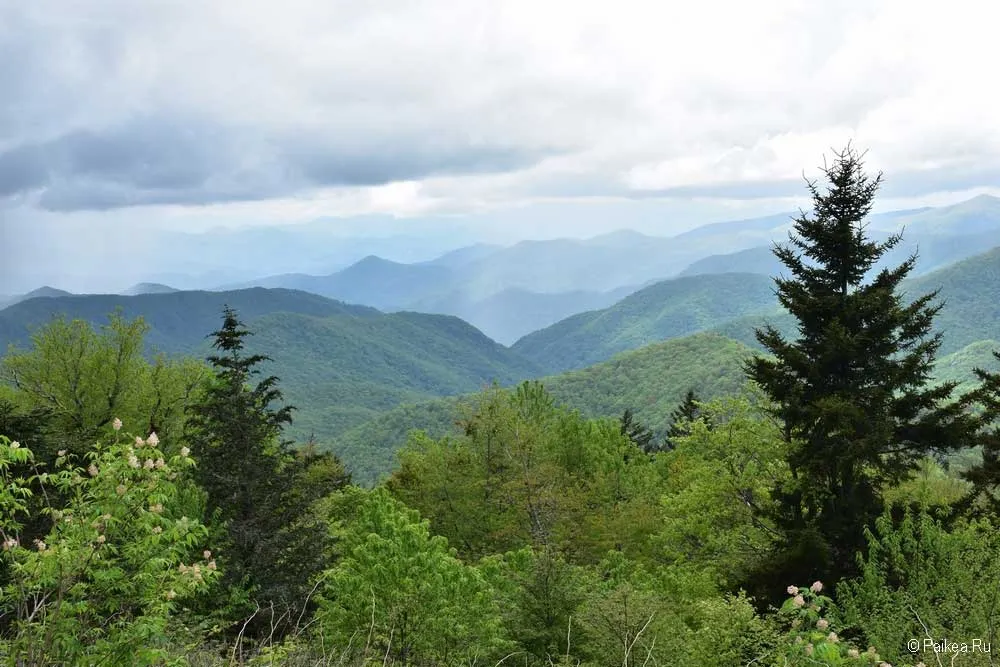 blue ridge parkway 20