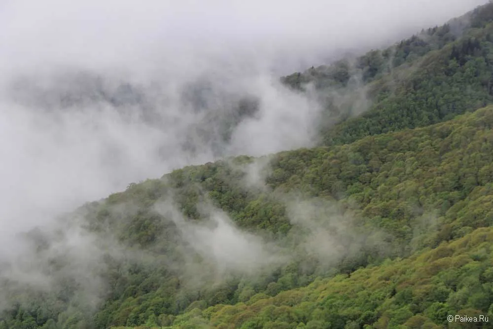 blue ridge parkway 32