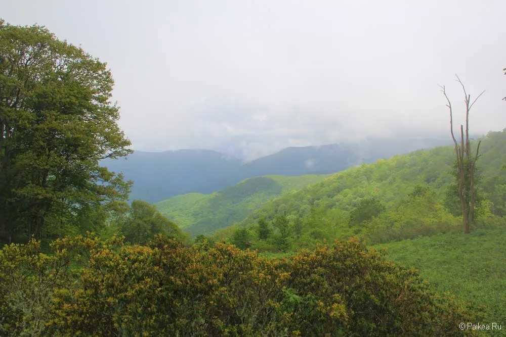 blue ridge parkway 36
