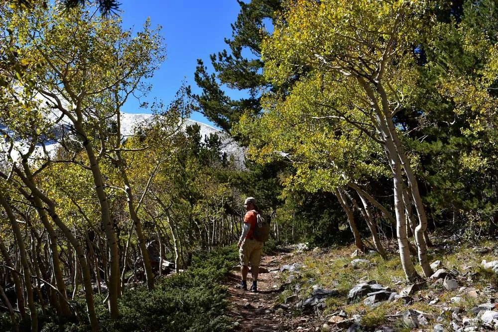 грейт бейзин (great basin)