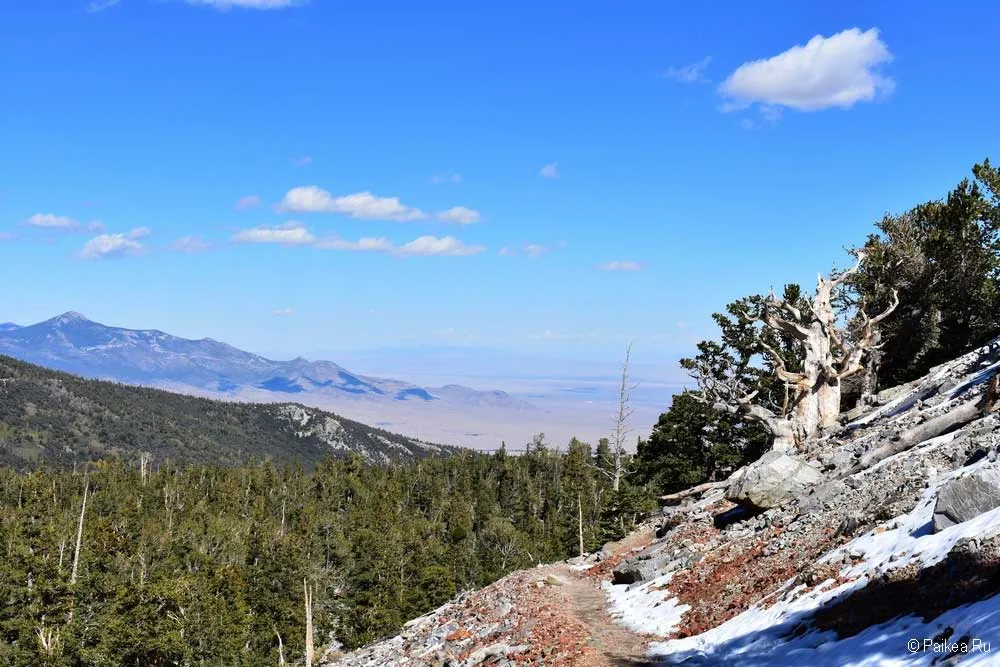 грейт бейзин (great basin)