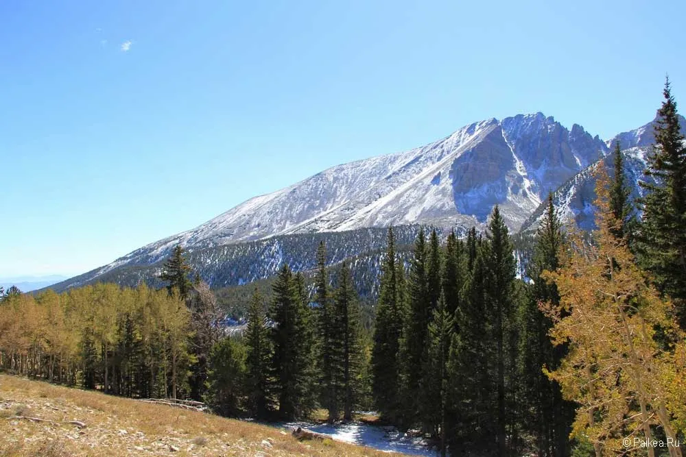 грейт бейзин (great basin)