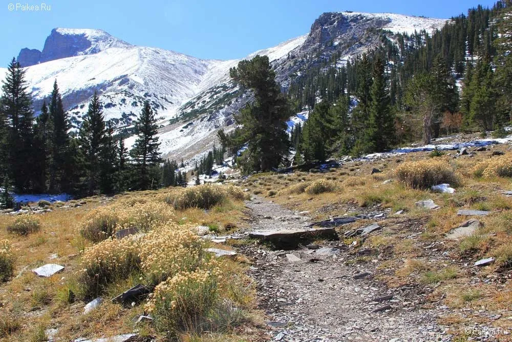 грейт бейзин (great basin)