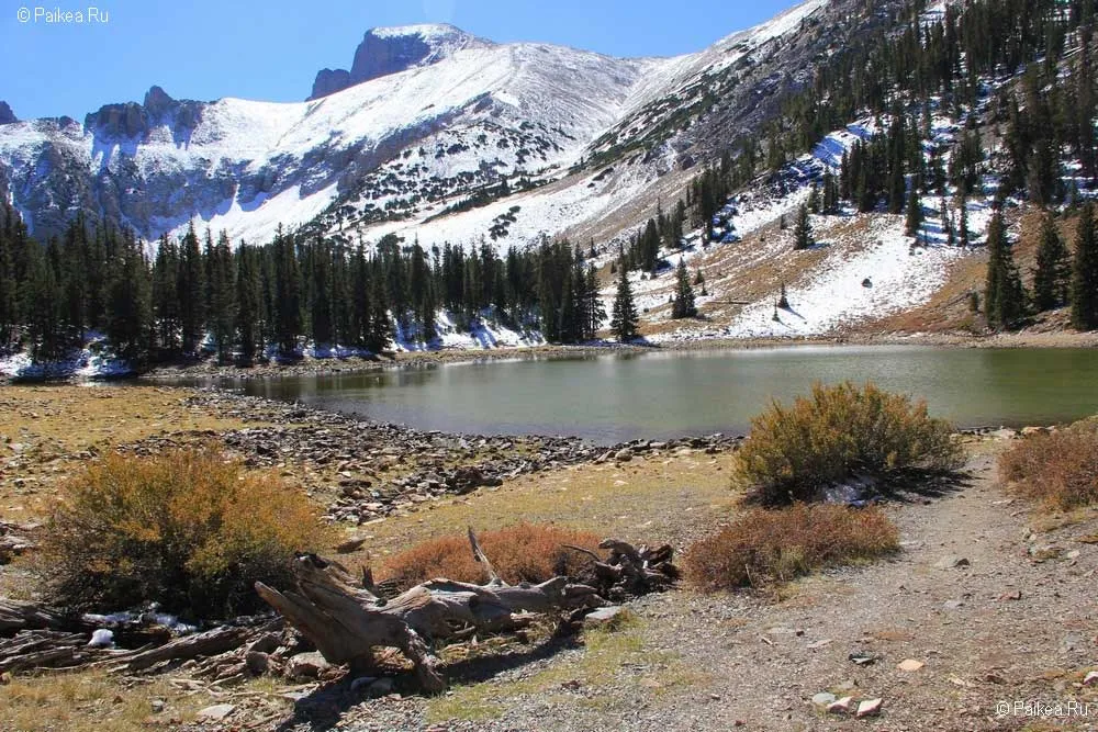 грейт бейзин (great basin)