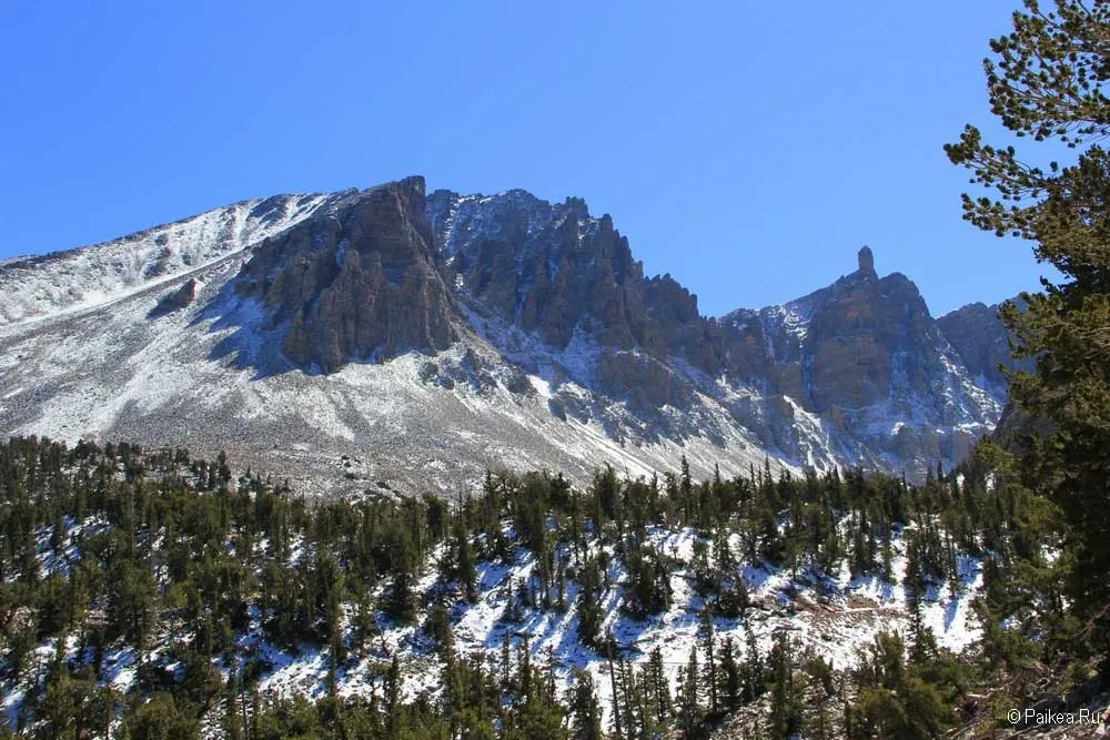 грейт бейзин (great basin)