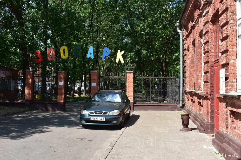 Куда сходить в Витебске с детьми - Зоопарк