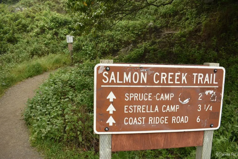 водопад салмон крик (salmon creek falls), калифорния 05